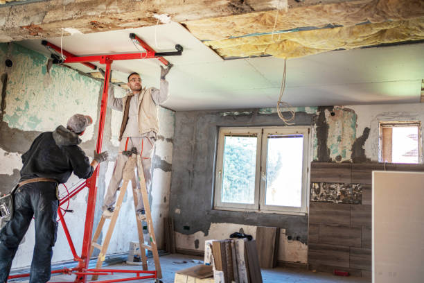 Best Insulation Contractor Near Me  in Ridgeland, MS